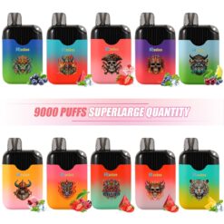 Limited time special offer Rueboo skeleton 9000 puffs vape